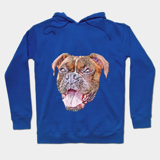 Boxer Breed Hoodie by DoggyStyles